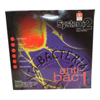 system 2 image